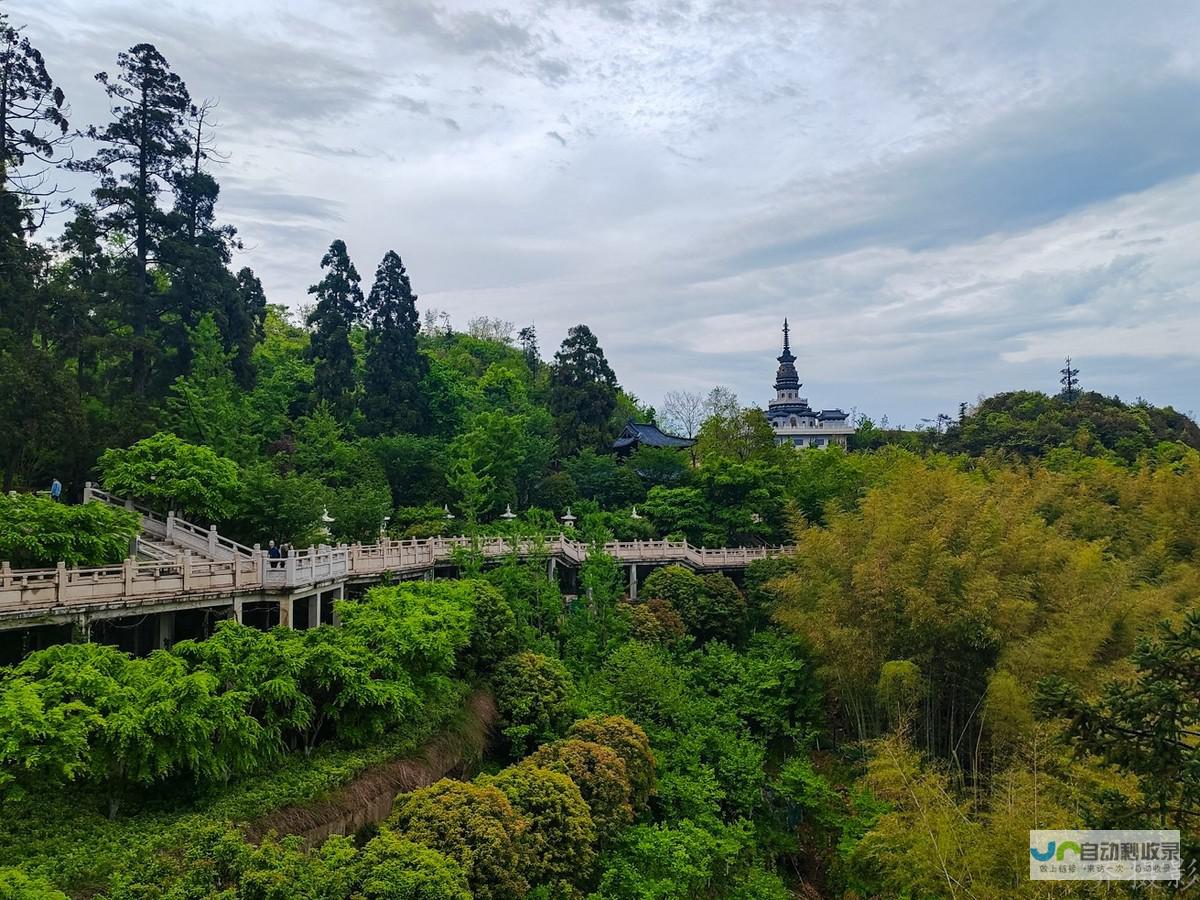 杭州专业手机网站建设公司